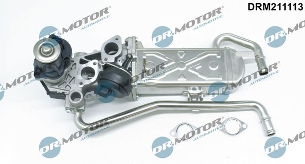 Dr.Motor Automotive DRM211113 EGR Valve