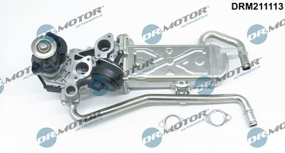 EGR Valve Dr.Motor Automotive DRM211113