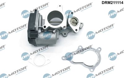 EGR Valve Dr.Motor Automotive DRM211114