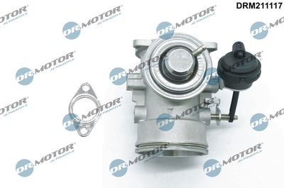 EGR Valve Dr.Motor Automotive DRM211117