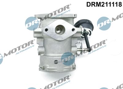 EGR Valve Dr.Motor Automotive DRM211118