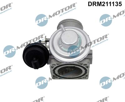 EGR Valve Dr.Motor Automotive DRM211135
