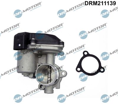 EGR Valve Dr.Motor Automotive DRM211139