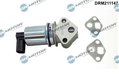 EGR Valve Dr.Motor Automotive DRM211147