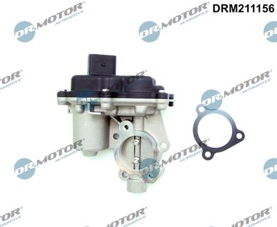 EGR Valve Dr.Motor Automotive DRM211156