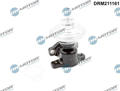 EGR Valve Dr.Motor Automotive DRM211161