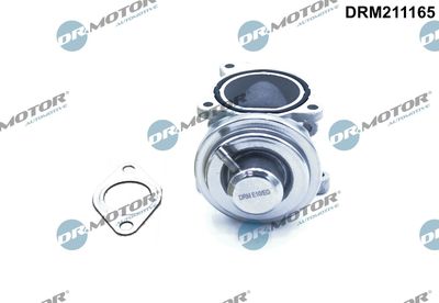EGR Valve Dr.Motor Automotive DRM211165