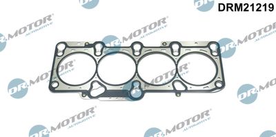 Gasket, cylinder head Dr.Motor Automotive DRM21219