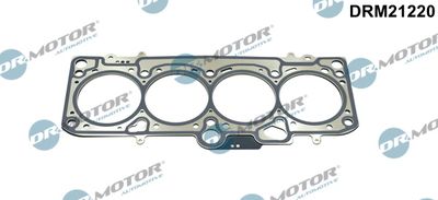 Gasket, cylinder head Dr.Motor Automotive DRM21220