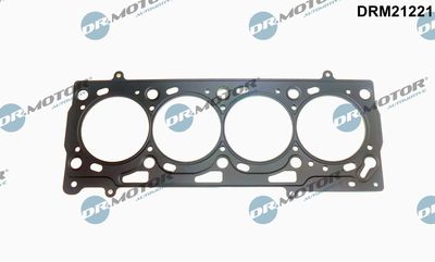 Gasket, cylinder head Dr.Motor Automotive DRM21221