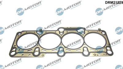 Gasket, cylinder head Dr.Motor Automotive DRM21229