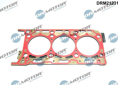 Gasket, cylinder head Dr.Motor Automotive DRM21231