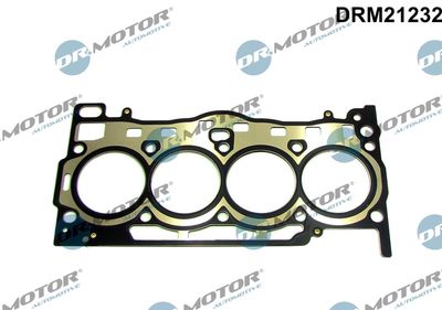 Gasket, cylinder head Dr.Motor Automotive DRM21232