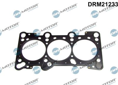 Gasket, cylinder head Dr.Motor Automotive DRM21233