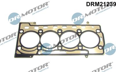 Gasket, cylinder head Dr.Motor Automotive DRM21239