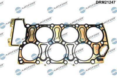 Gasket, cylinder head Dr.Motor Automotive DRM21247