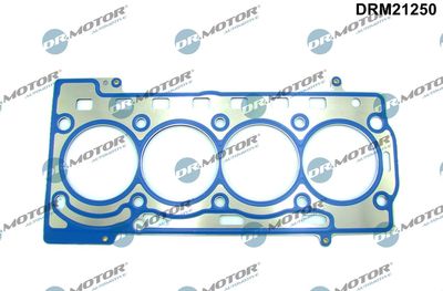 Gasket, cylinder head Dr.Motor Automotive DRM21250