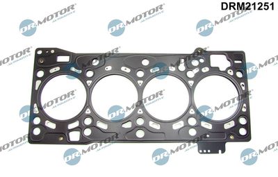 Gasket, cylinder head Dr.Motor Automotive DRM21251