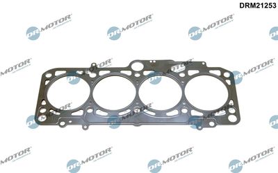 Gasket, cylinder head Dr.Motor Automotive DRM21253