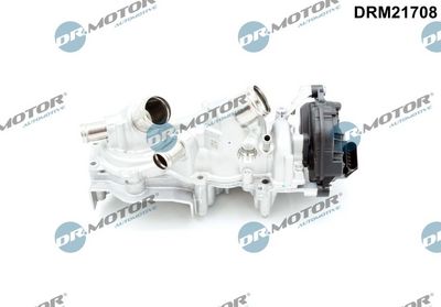 Water Pump, engine cooling Dr.Motor Automotive DRM21708