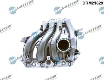 Intake Manifold Module Dr.Motor Automotive DRM21829