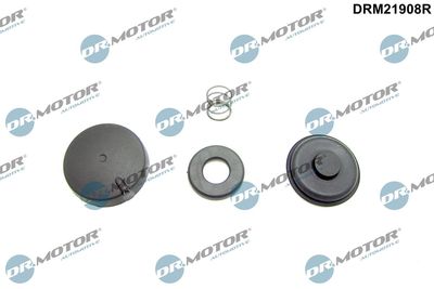 Repair Kit, crankcase ventilation Dr.Motor Automotive DRM21908R