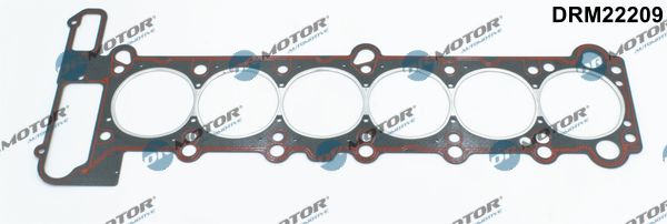 Dr.Motor Automotive DRM22209 Gasket, cylinder head