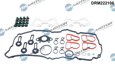Gasket Kit, cylinder head Dr.Motor Automotive DRM222106