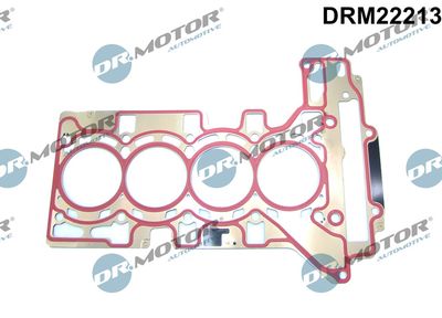 Gasket, cylinder head Dr.Motor Automotive DRM22213