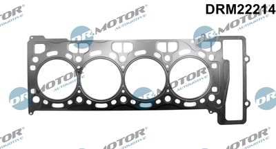Gasket, cylinder head Dr.Motor Automotive DRM22214
