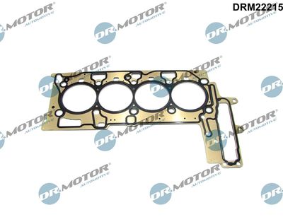 Gasket, cylinder head Dr.Motor Automotive DRM22215