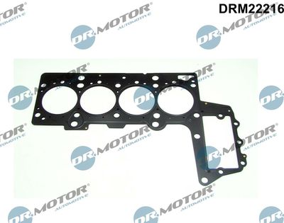 Gasket, cylinder head Dr.Motor Automotive DRM22216