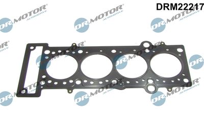 Gasket, cylinder head Dr.Motor Automotive DRM22217