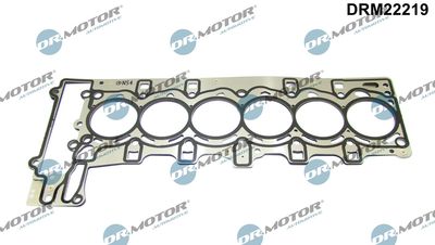 Gasket, cylinder head Dr.Motor Automotive DRM22219