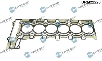 Gasket, cylinder head Dr.Motor Automotive DRM22220