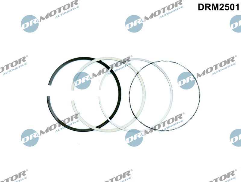 Dr.Motor Automotive DRM2501 Piston Ring Kit