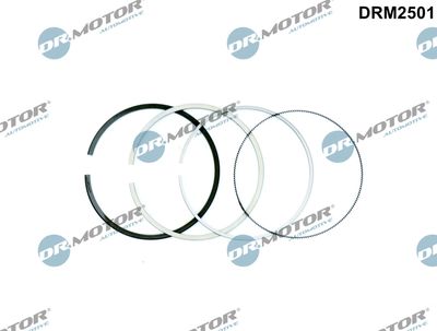 Piston Ring Kit Dr.Motor Automotive DRM2501