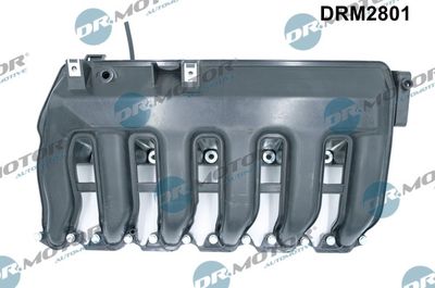 Intake Manifold Module Dr.Motor Automotive DRM2801