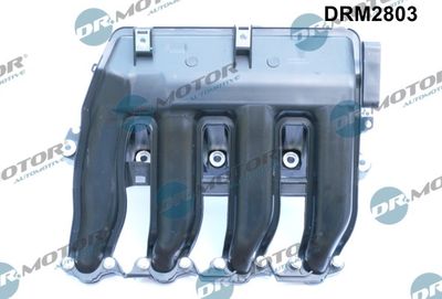 Intake Manifold Module Dr.Motor Automotive DRM2803