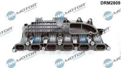 Intake Manifold Module Dr.Motor Automotive DRM2809