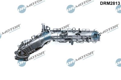 Intake Manifold Module Dr.Motor Automotive DRM2813