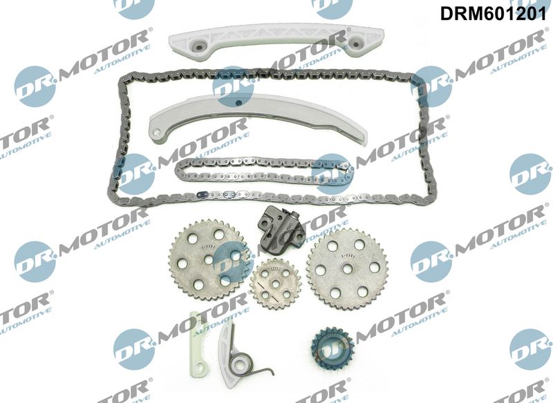 Dr.Motor Automotive DRM601201 Timing Chain Kit