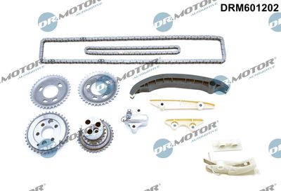 Timing Chain Kit Dr.Motor Automotive DRM601202