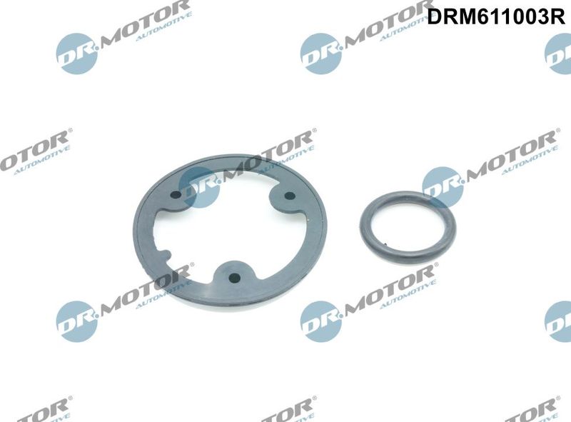 Dr.Motor Automotive DRM611003R Gasket Set, oil cooler