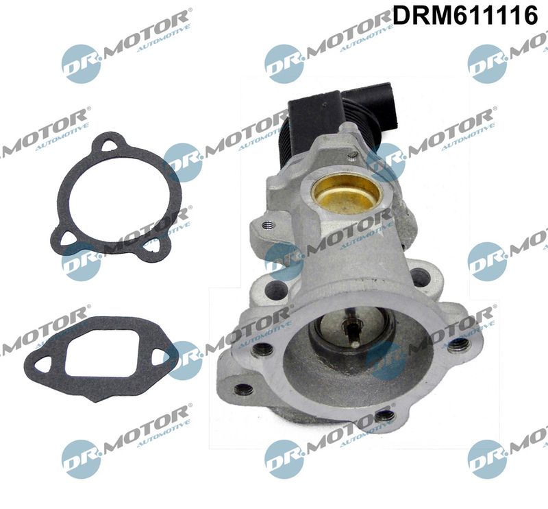 Dr.Motor Automotive DRM611116 EGR Valve