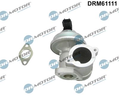 EGR Valve Dr.Motor Automotive DRM61111