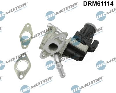 EGR Valve Dr.Motor Automotive DRM61114