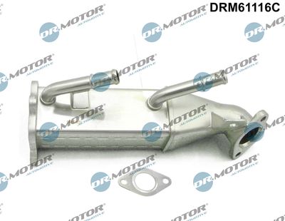 Cooler, exhaust gas recirculation Dr.Motor Automotive DRM61116C