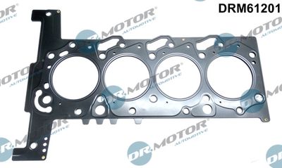Gasket, cylinder head Dr.Motor Automotive DRM61201