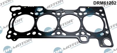 Gasket, cylinder head Dr.Motor Automotive DRM61202